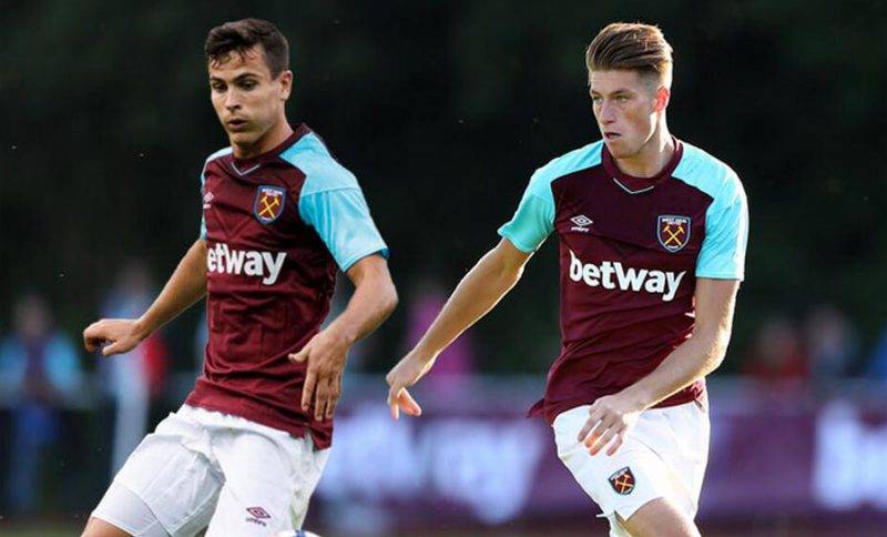 内专家所称 内专家所称